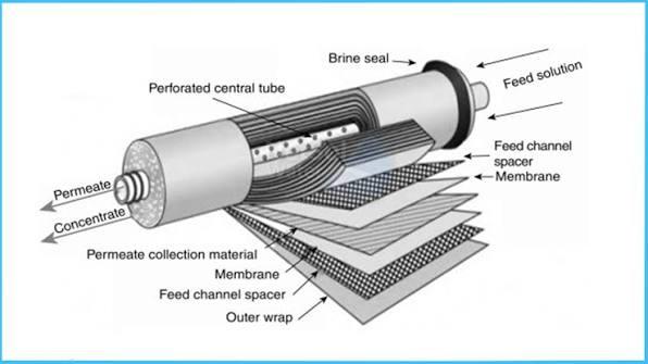 Membrane